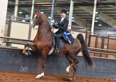 Phiesty Phirecracker