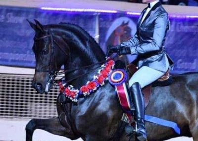 World Champion Hunter