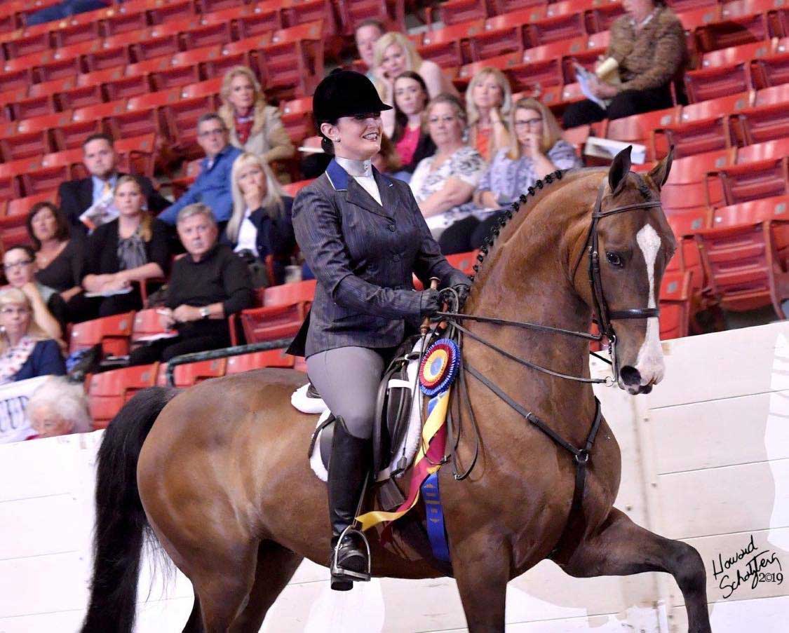 Clayhill Chevalier