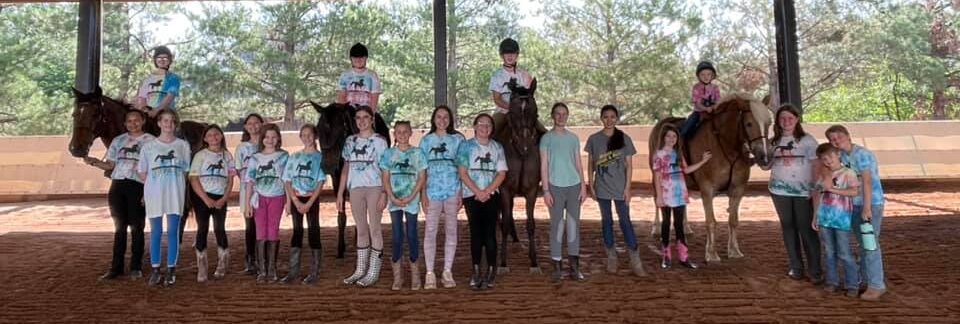 Horse Camp Group