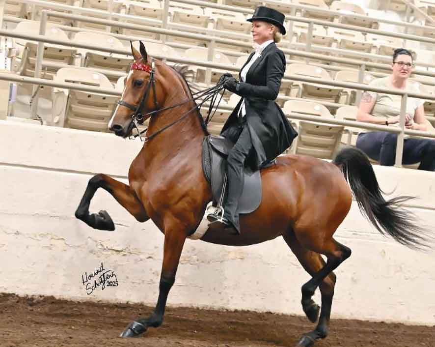 dbk dramatic entrance