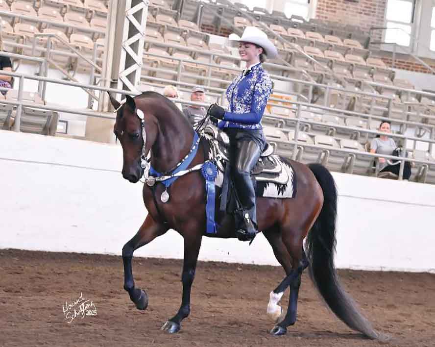 valeria's million reasons