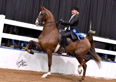 Phiesty Phirecracker